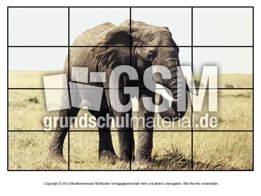 Puzzle-Elefanten-2.pdf